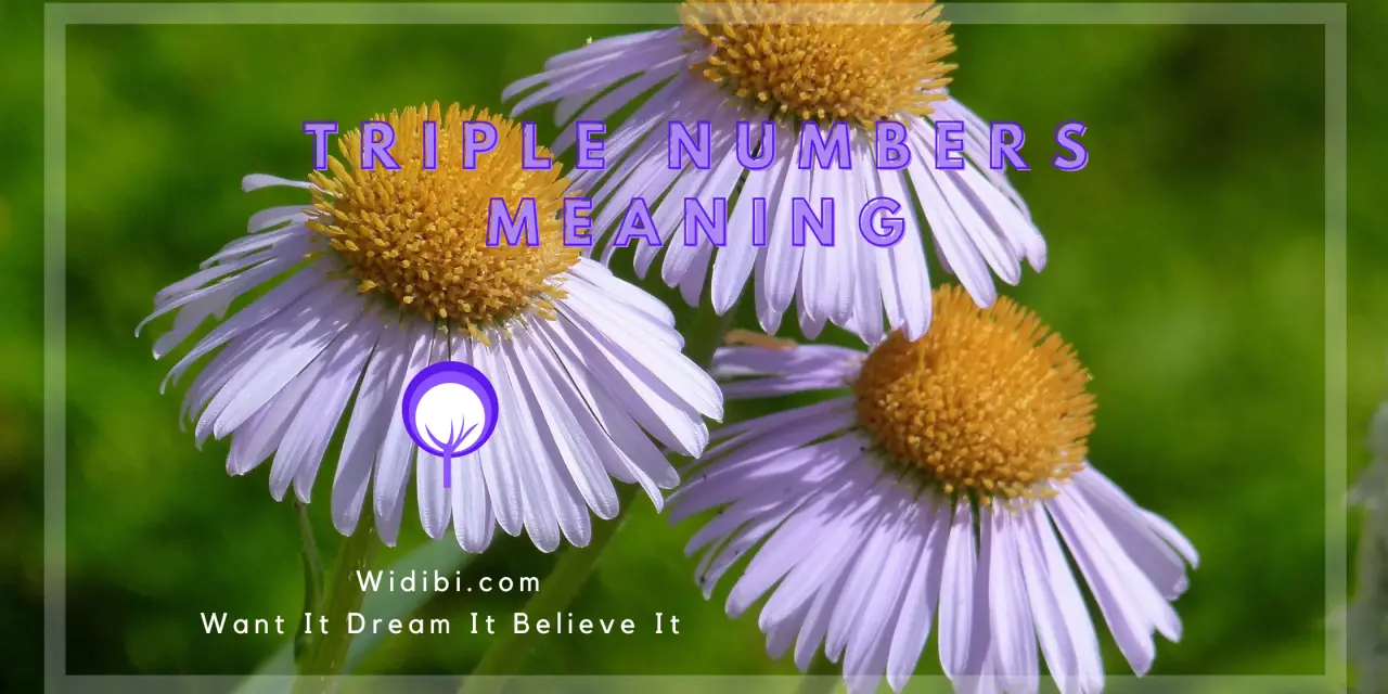 Triple Numbers Meaning – What It Means When You See Repeating Digits