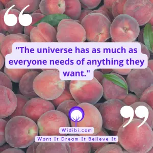 The universe has as much as everyone needs of anything they want.