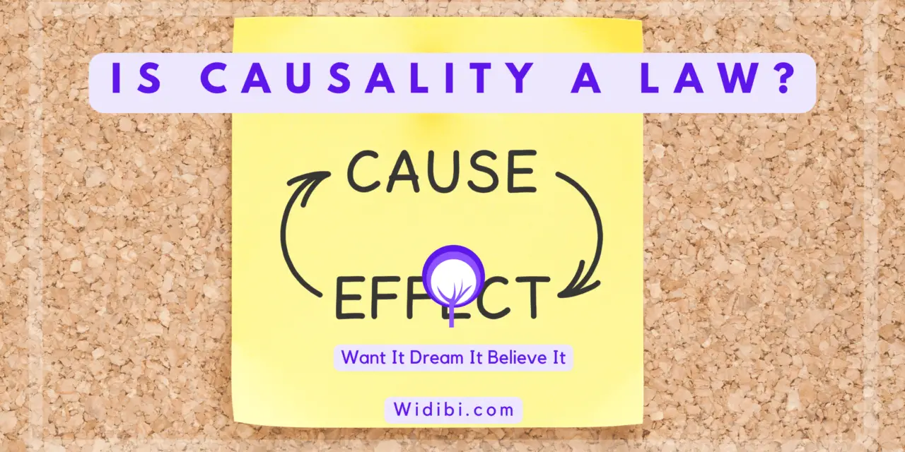 Is Causality a Law? It’s All About Perspective