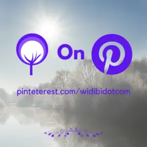 Widibi on Pinterest