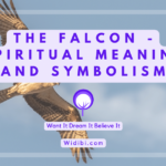 Falcon Spiritual Meaning and Symbolism