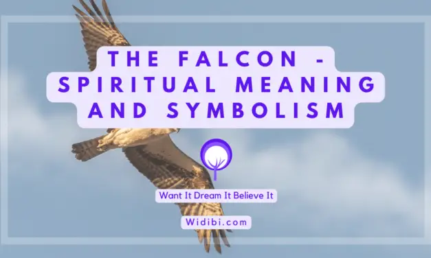 Falcon Spiritual Meaning and Symbolism