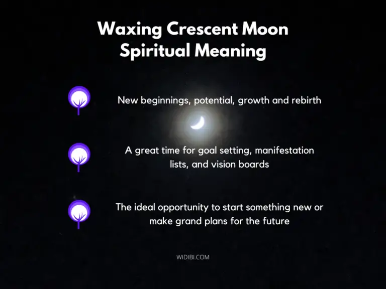 July 2024 New Moon Meaning Spiritually - Lacey Minnnie