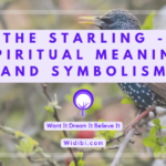 Starling Spiritual Meaning and Symbolism
