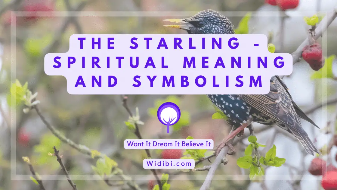 Starling Spiritual Meaning and Symbolism