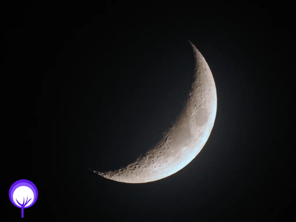The striking waxing crescent moon