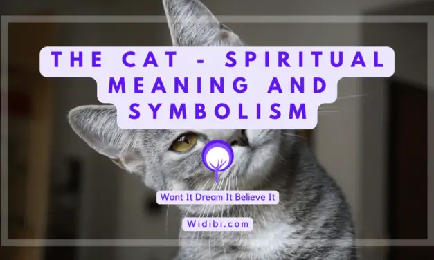 Cat Spiritual Meaning and Symbolism