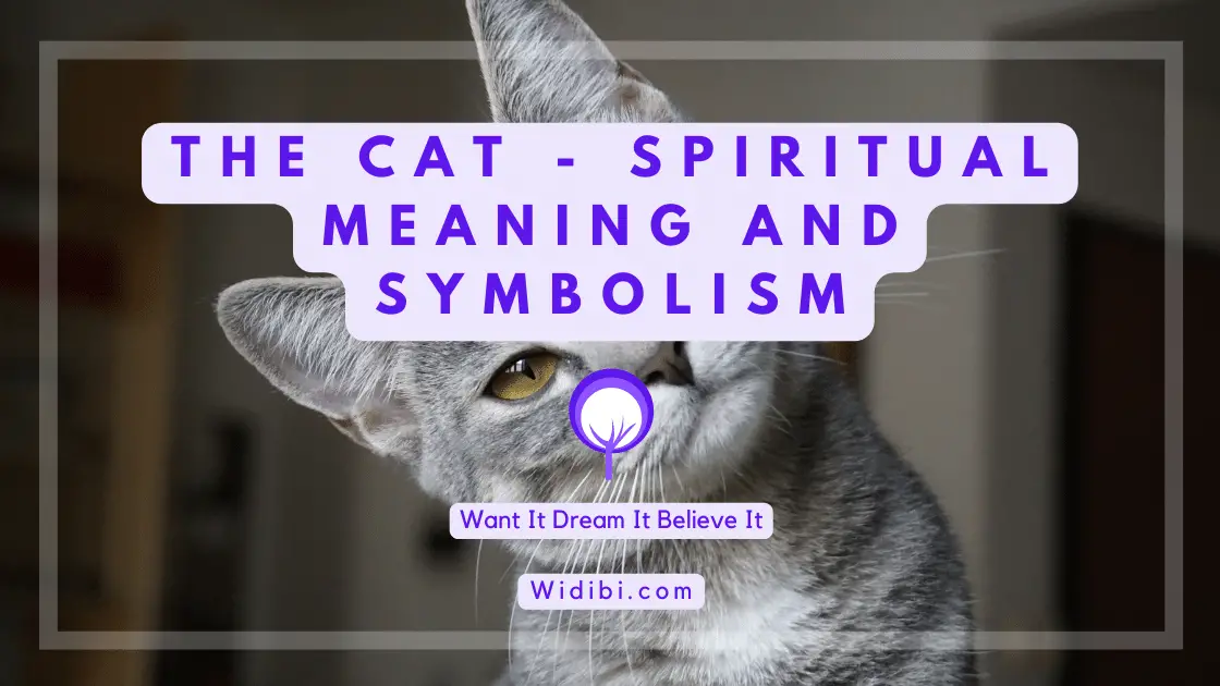 Cat Spiritual Meaning and Symbolism